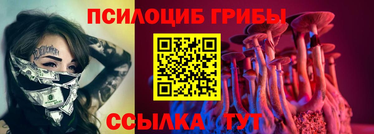 Псилоцибиновые грибы Psilocybe  Вход с VPN  Ржев  Галлюциногенные грибы Psilocybine cubensis 